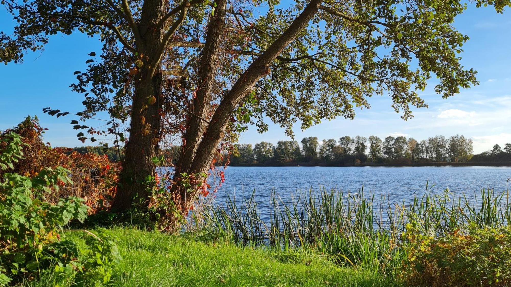 Hotel & Restaurant Haus Am See Locknitz Eksteriør bilde